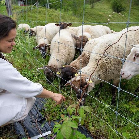 La Vieille Ferme, Ecogite Saint-Fulgence Dış mekan fotoğraf