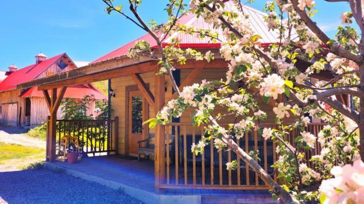 La Vieille Ferme, Ecogite Saint-Fulgence Dış mekan fotoğraf