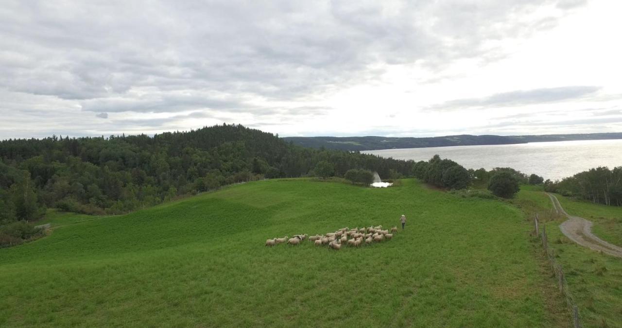 La Vieille Ferme, Ecogite Saint-Fulgence Dış mekan fotoğraf