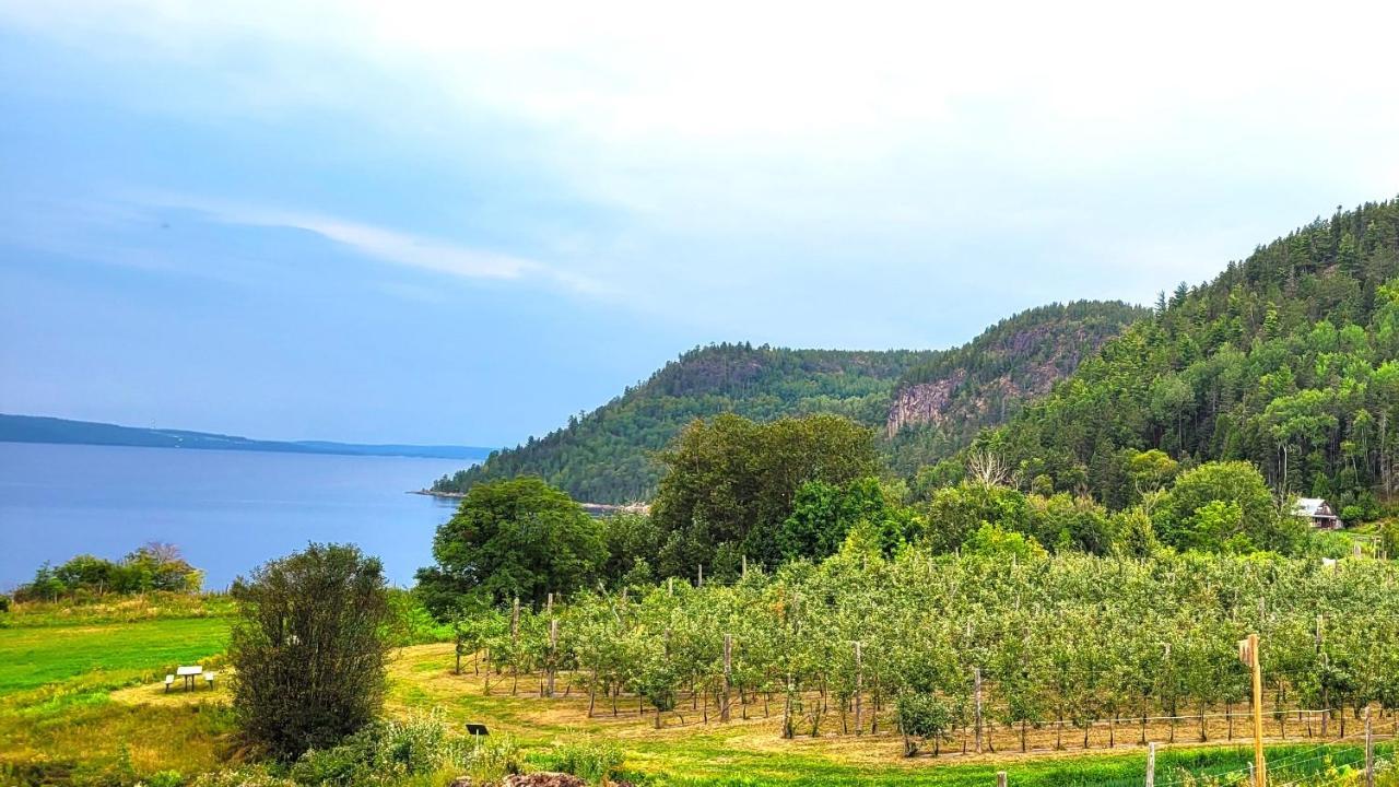 La Vieille Ferme, Ecogite Saint-Fulgence Dış mekan fotoğraf