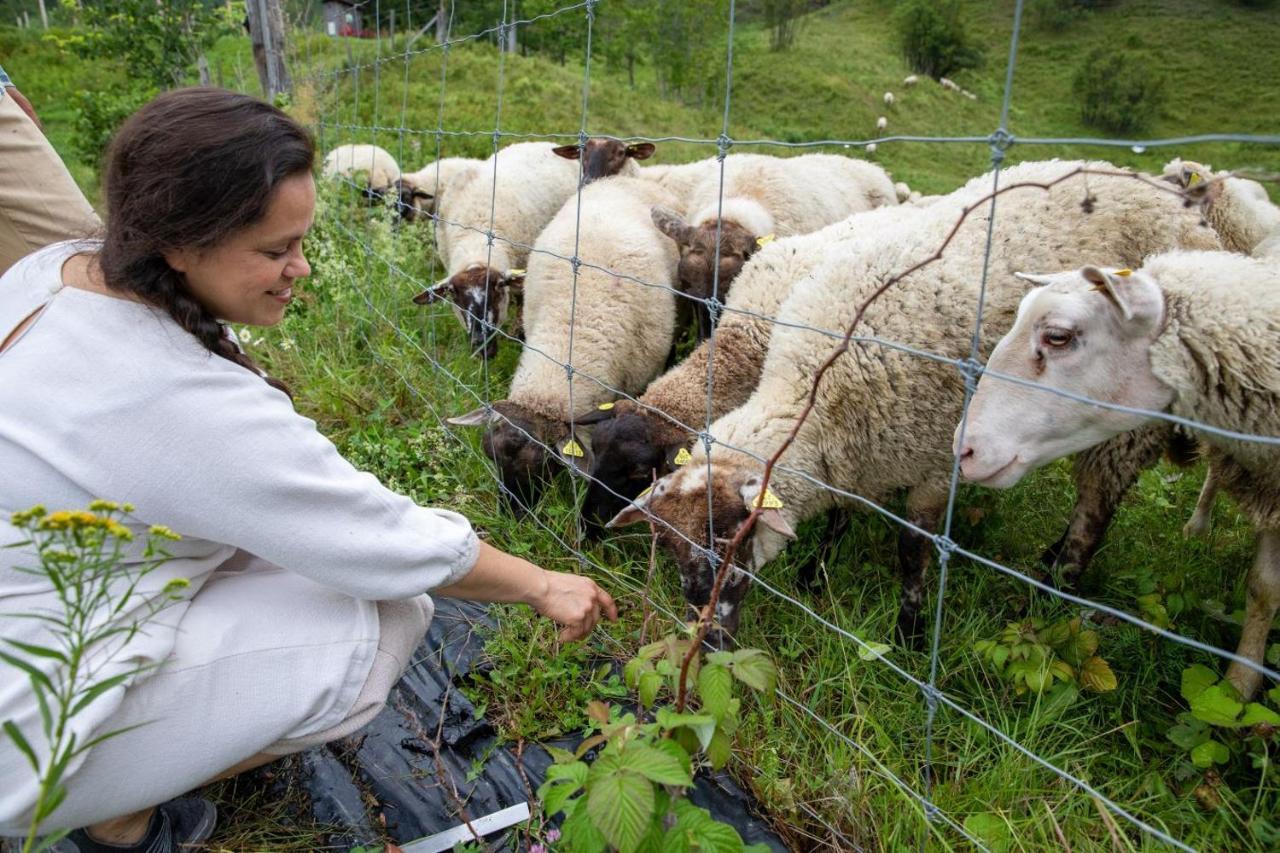 La Vieille Ferme, Ecogite Saint-Fulgence Dış mekan fotoğraf