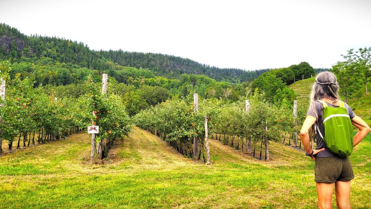 La Vieille Ferme, Ecogite Saint-Fulgence Dış mekan fotoğraf