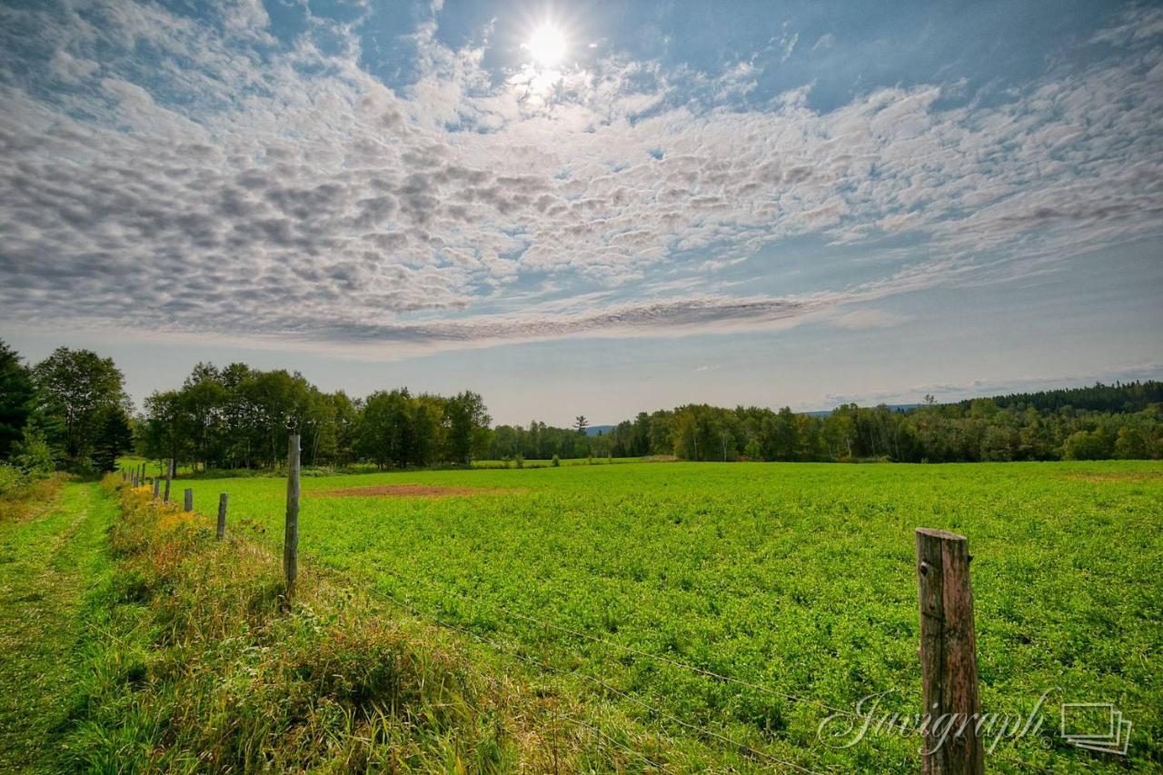 La Vieille Ferme, Ecogite Saint-Fulgence Dış mekan fotoğraf